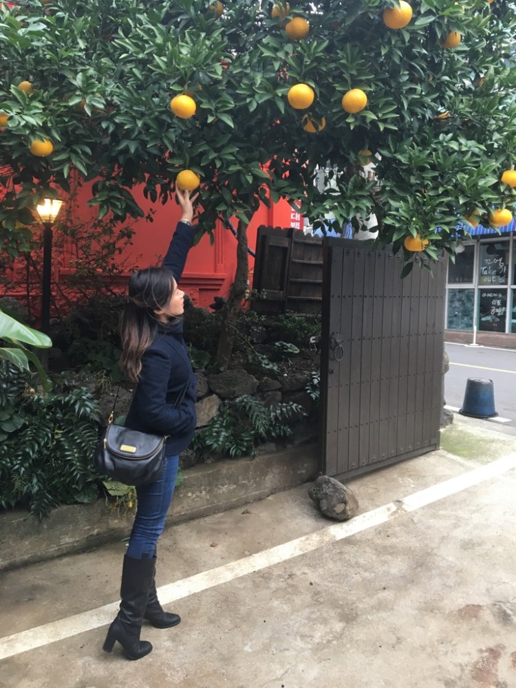 unadjustednonraw_thumb_2f35