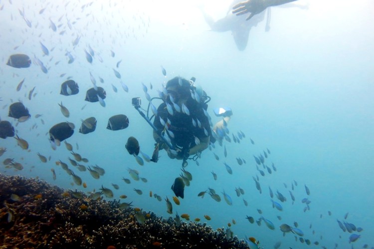 unadjustednonraw_thumb_302c