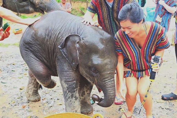 unadjustednonraw_thumb_30cf