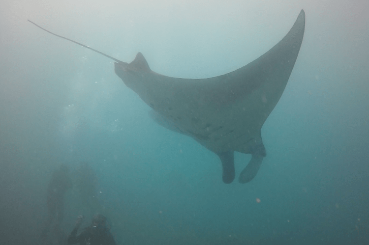 Screen Shot 2017-04-23 at 23.59.57