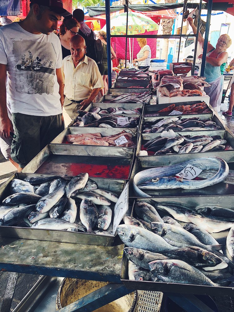 584e21da-2b59-4b2a-9560-440d5bf177a6